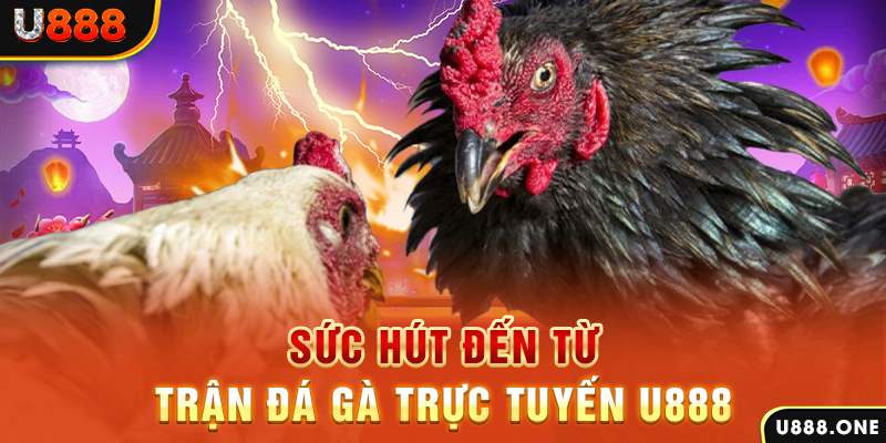 hit club win đá gà trực tiếp c1
