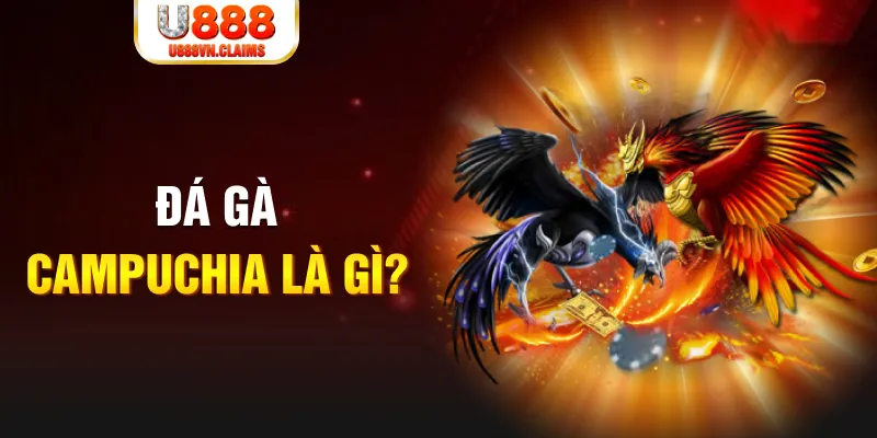 hit club win bắn cá vàng h5