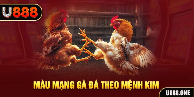 hit club win Cỡ bảy