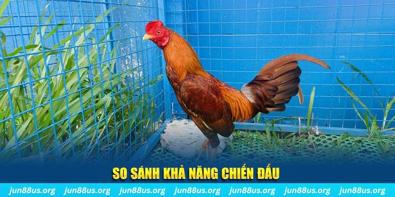 hit club win CQ9 Điện Tử