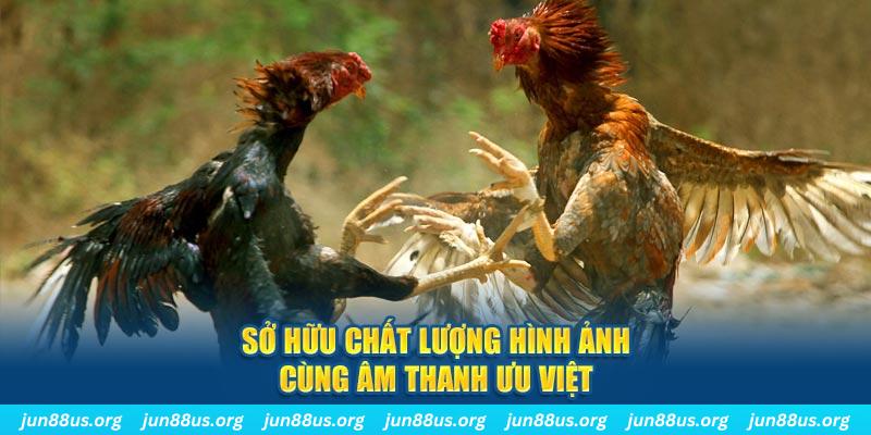 hit club win PP Điện Tử