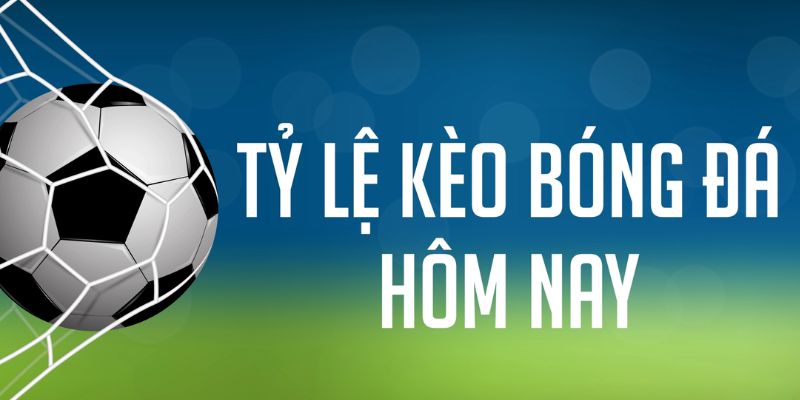 gà chọi c1 mới nhất