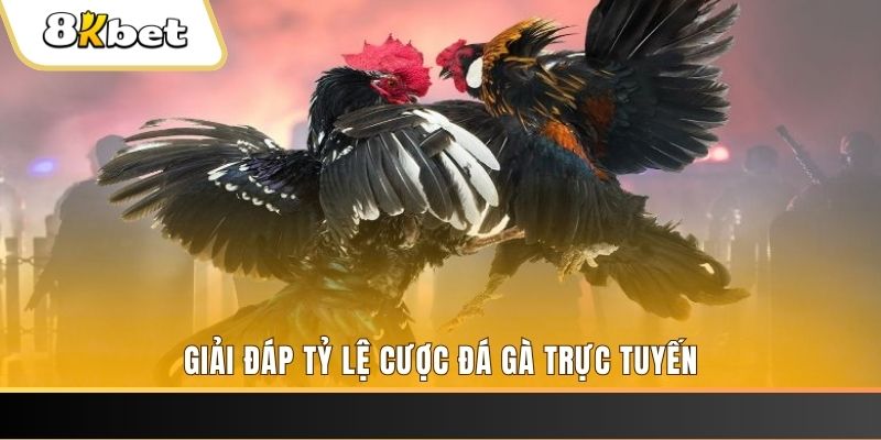 hit club win xổ số đài miền trung