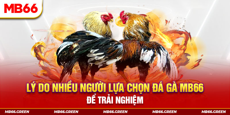 hit club win xổ số miền bắc thứ bảy hàng tuần