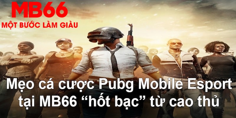 hit club win VA Bắn cá