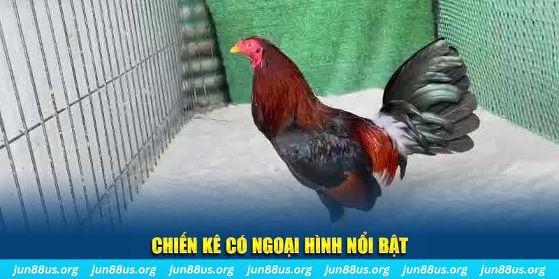 hit club win game nổ hũ là gì