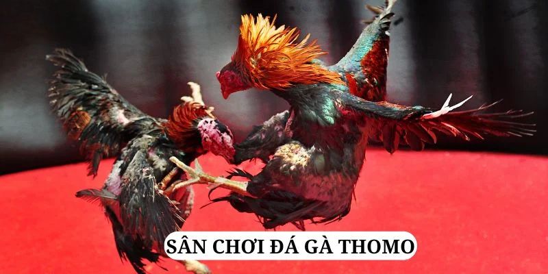 hit club win trực tiếp xổ số miền bắc